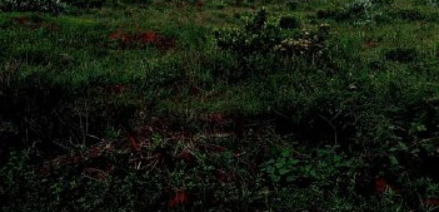 Prime Investment Opportunity: 5-Acre Parcel Opposite Gatune Police Station