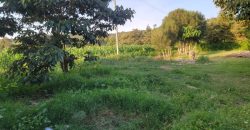 1/4 acre plots 600M from Tarmac