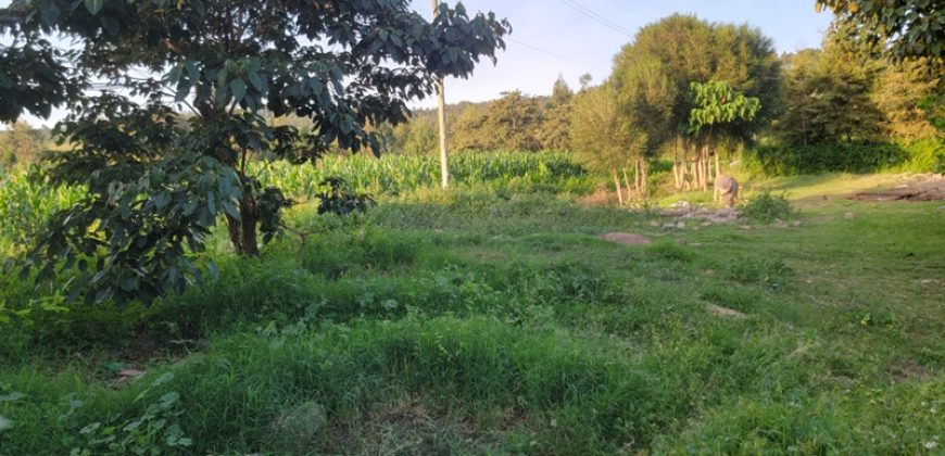 1/4 acre plots 600M from Tarmac