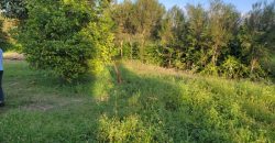 1/4 acre plots 600M from Tarmac