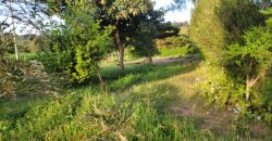 1/4 acre plots 600M from Tarmac