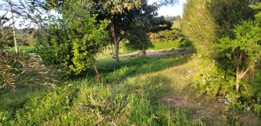 1/4 acre plots 600M from Tarmac