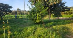 1/4 acre plots 600M from Tarmac