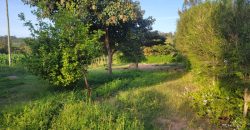 1/4 acre plots 600M from Tarmac