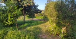 1/4 acre plots 600M from Tarmac