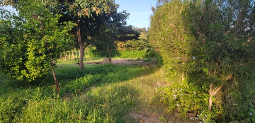 1/4 acre plots 600M from Tarmac