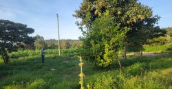 1/4 acre plots 600M from Tarmac