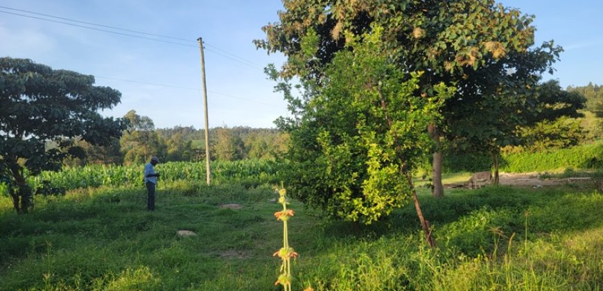 1/4 acre plots 600M from Tarmac