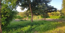 1/4 acre plots 600M from Tarmac