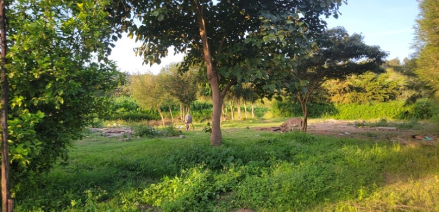 1/4 acre plots 600M from Tarmac