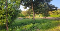 1/4 acre plots 600M from Tarmac