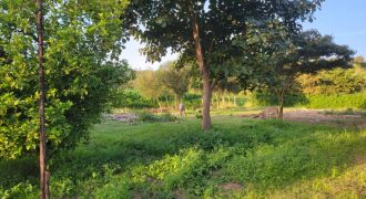 1/4 acre plots 600M from Tarmac