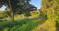 1/4 acre plots 600M from Tarmac