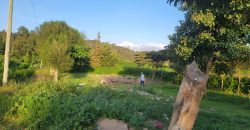 1/4 acre plots 600M from Tarmac