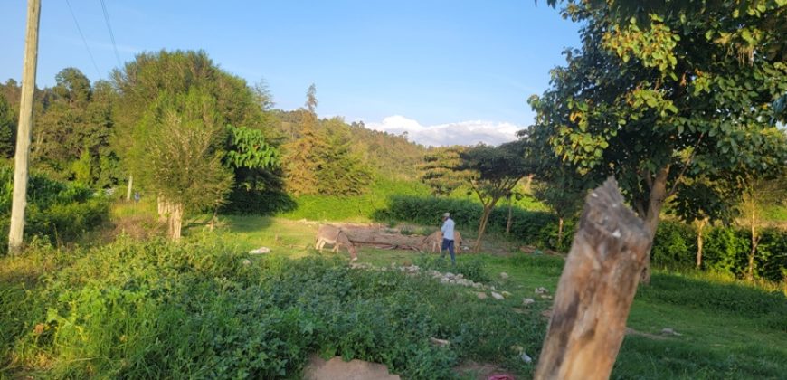 1/4 acre plots 600M from Tarmac