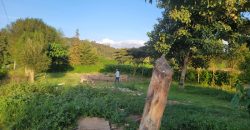 1/4 acre plots 600M from Tarmac