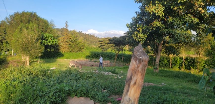 1/4 acre plots 600M from Tarmac