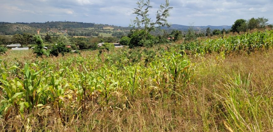 0.25 acres Along Koinange Road Kamangu-Kikuyu