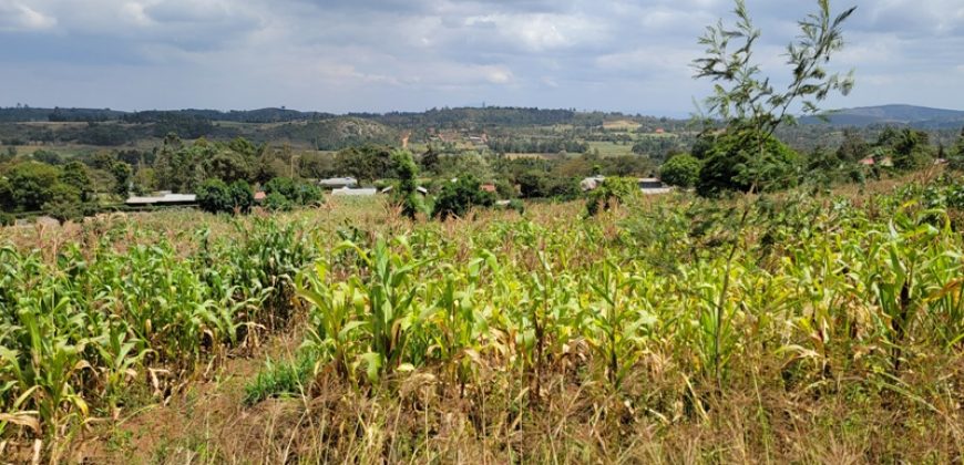 0.25 acres Along Koinange Road Kamangu-Kikuyu