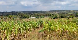 0.25 acres Along Koinange Road Kamangu-Kikuyu
