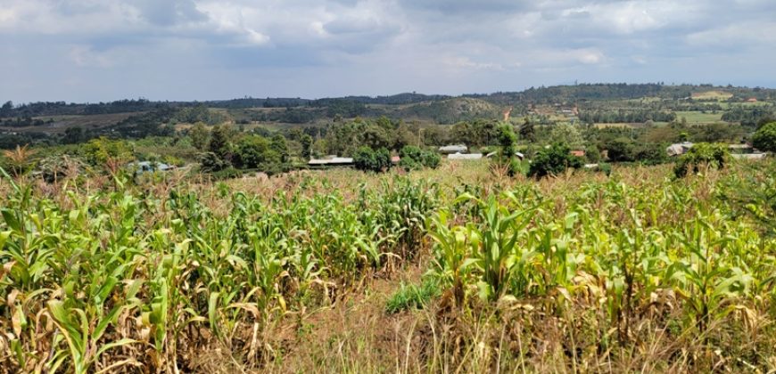 0.25 acres Along Koinange Road Kamangu-Kikuyu