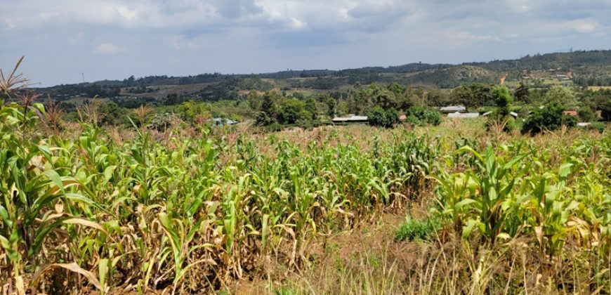 0.25 acres Along Koinange Road Kamangu-Kikuyu