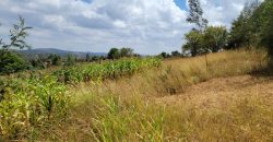 0.25 acres Along Koinange Road Kamangu-Kikuyu