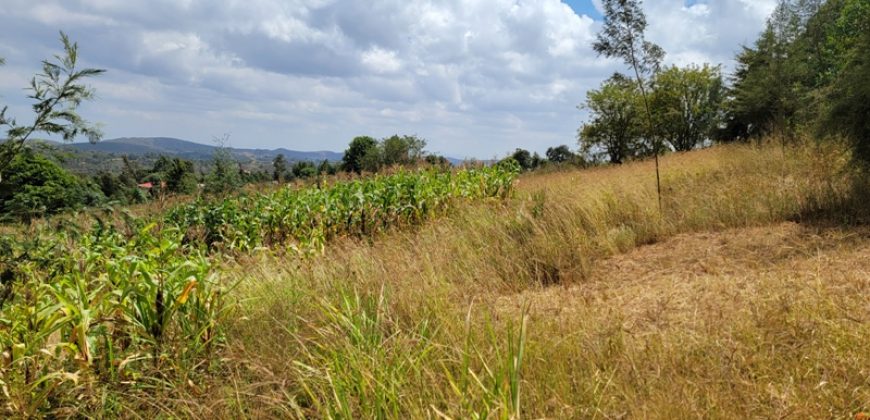 0.25 acres Along Koinange Road Kamangu-Kikuyu