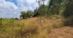 0.25 acres Along Koinange Road Kamangu-Kikuyu