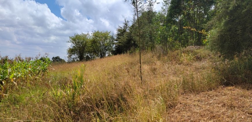 0.25 acres Along Koinange Road Kamangu-Kikuyu