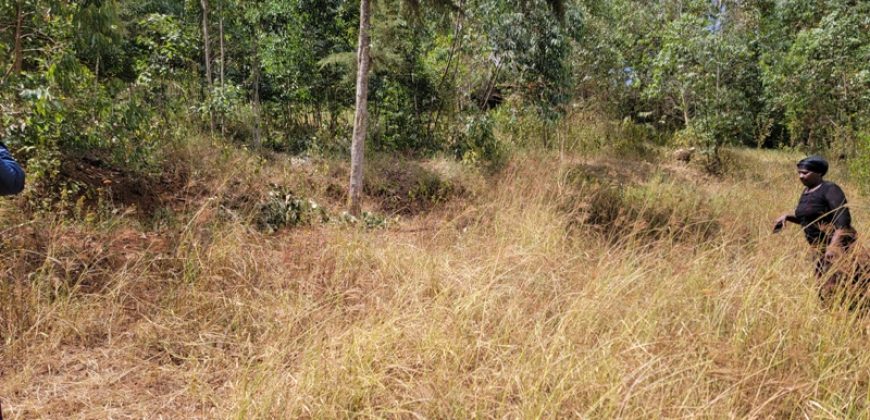 Awesome 1/4 Plot With Amazing Serenity