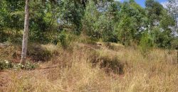 Awesome 1/4 Plot With Amazing Serenity