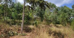 Awesome 1/4 Plot With Amazing Serenity