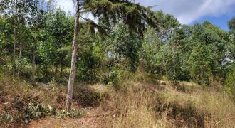 Prime 1/8th Acre Plots Ready For Development