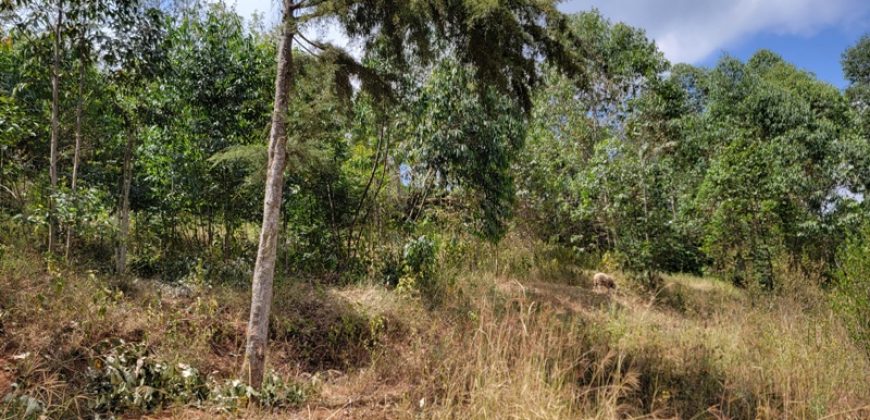 Awesome 1/4 Plot With Amazing Serenity