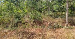 Awesome 1/4 Plot With Amazing Serenity