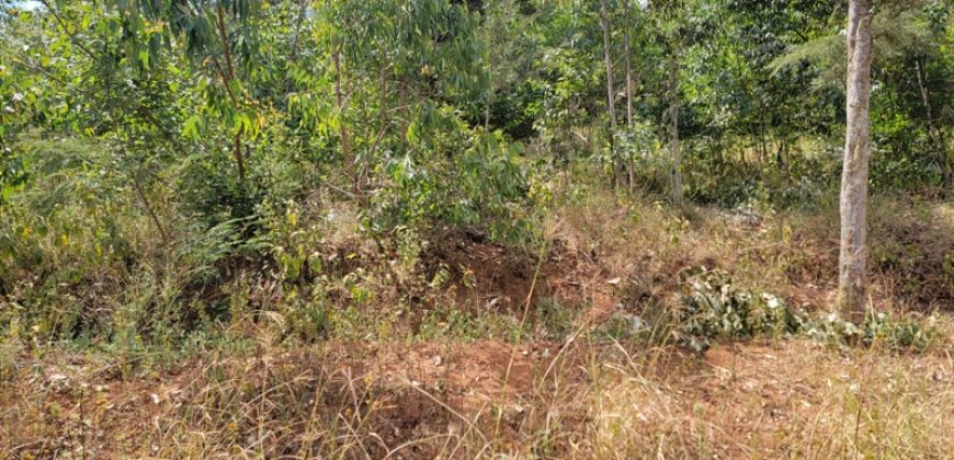 Awesome 1/4 Plot With Amazing Serenity