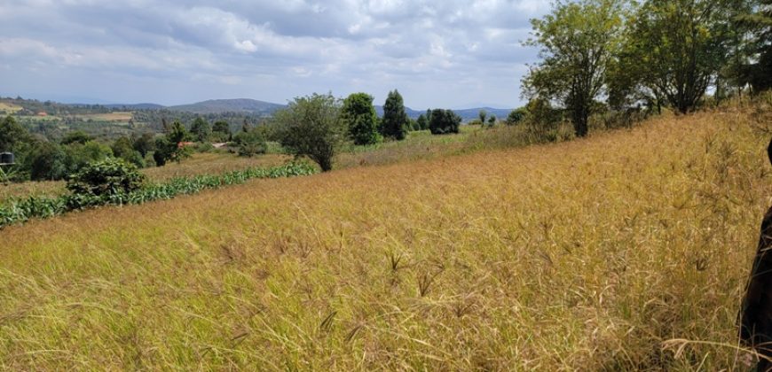 Awesome 1/4 Plot With Amazing Serenity