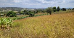Awesome 1/4 Plot With Amazing Serenity