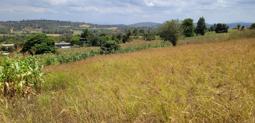 Awesome 1/4 Plot With Amazing Serenity