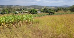 0.25 acres Along Koinange Road Kamangu-Kikuyu