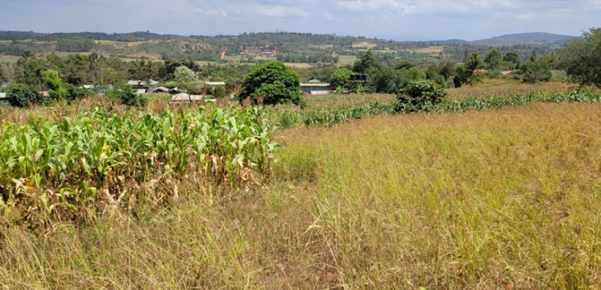 0.25 acres Along Koinange Road Kamangu-Kikuyu