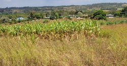 0.25 acres Along Koinange Road Kamangu-Kikuyu