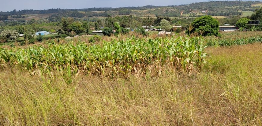 0.25 acres Along Koinange Road Kamangu-Kikuyu