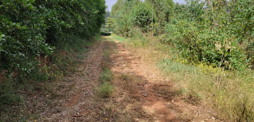 Awesome 1/4 Plot With Amazing Serenity