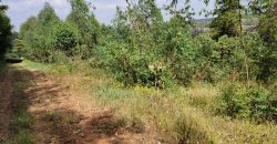 Awesome 1/4 Plot With Amazing Serenity