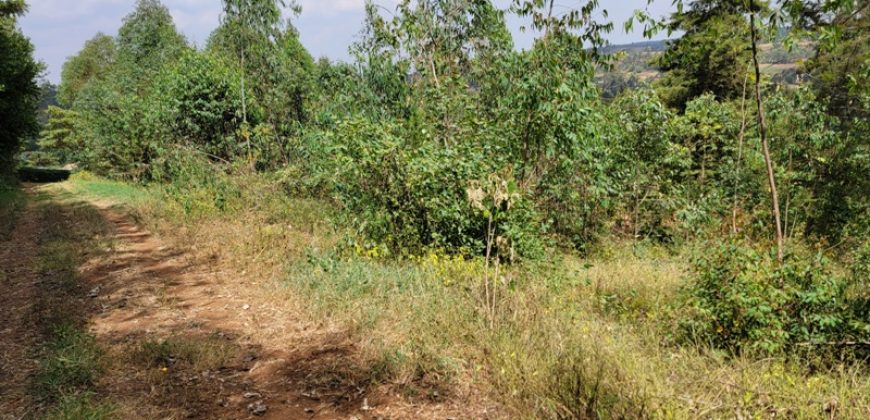 Awesome 1/4 Plot With Amazing Serenity