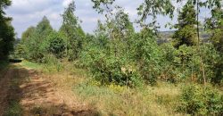 Awesome 1/4 Plot With Amazing Serenity
