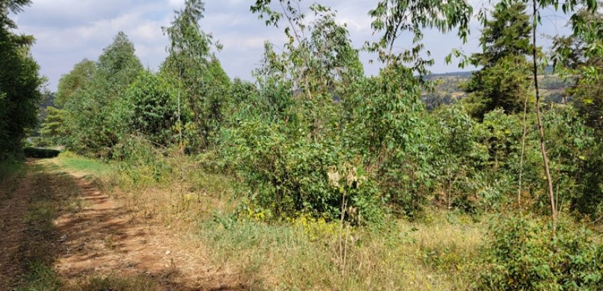 Awesome 1/4 Plot With Amazing Serenity