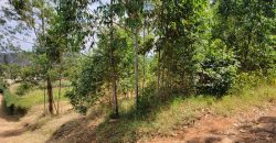 Awesome 1/4 Plot With Amazing Serenity